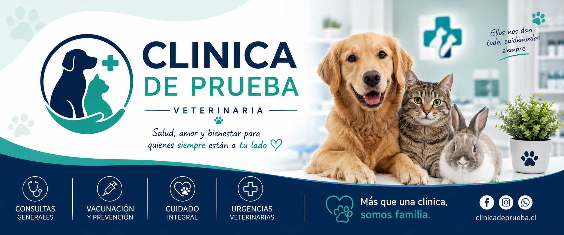 Portada de Clinica Prueba